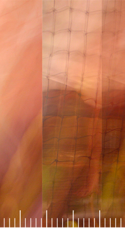 frame07