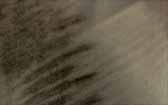 070
