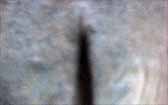 186
