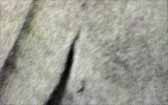 215